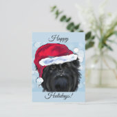 Affenpinscher  briefkaart (Staand voorkant)