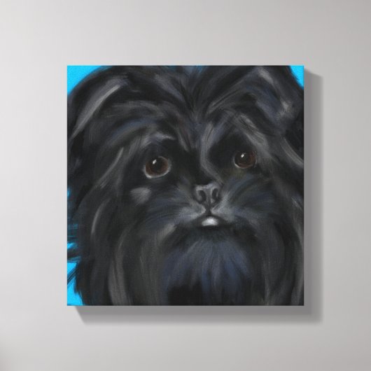 Affenpinscher  canvas afdruk (Voorkant)
