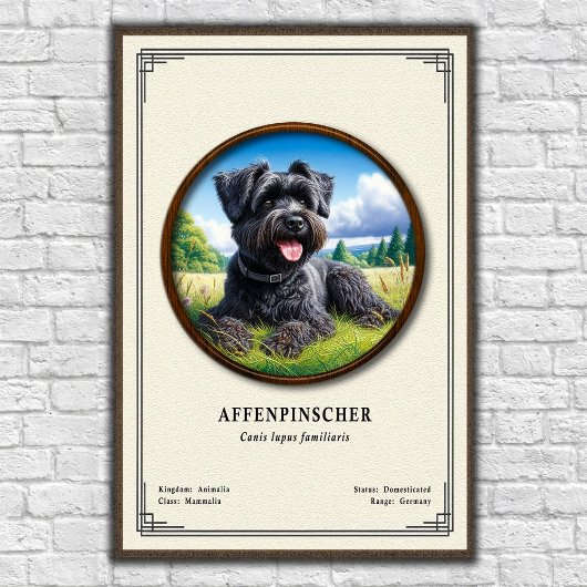 Affenpinscher Dierkunde Serie Poster