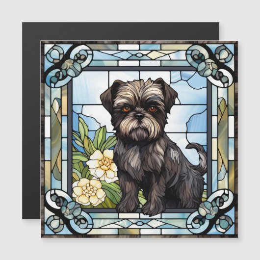 Affenpinscher Dog (Voorkant / Achterkant)