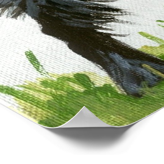 Affenpinscher Dog Portrait Poster (Hoek)