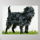 Affenpinscher Dog Portrait Poster (Voorkant)