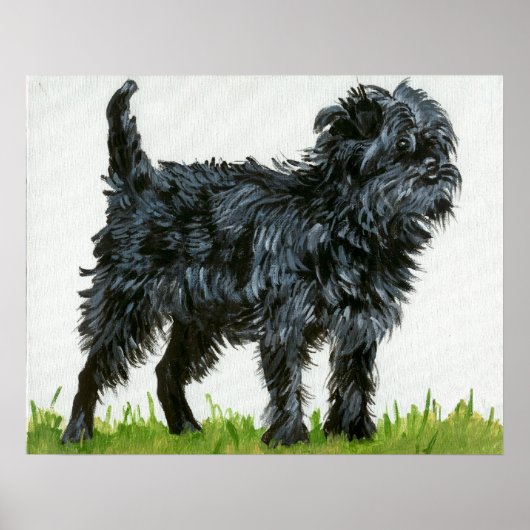 Affenpinscher Dog Portrait Poster (Voorkant)