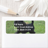 Affenpinscher Etiket (Insitu)