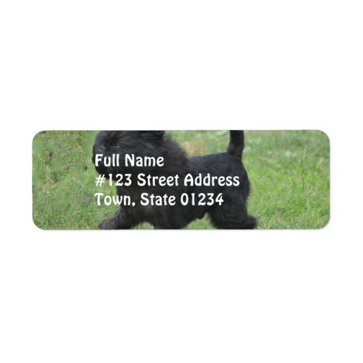 Affenpinscher Etiket (Voorkant)