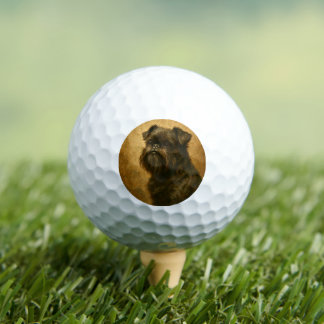 Affenpinscher Golfballen