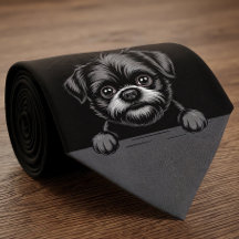Affenpinscher Grappige Spiedende Puppy Hond Liefhe