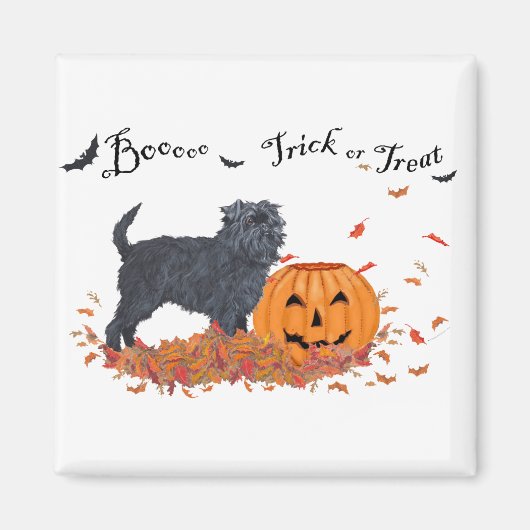 Affenpinscher Halloween Magneet (Voorkant)