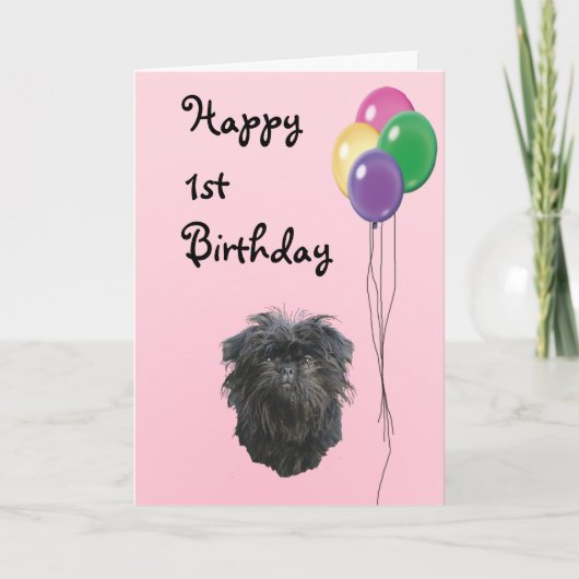 Affenpinscher Happy 1st Birthday Kaart (Voorkant)