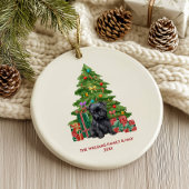 Affenpinscher hond gepersonaliseerde kerst keramisch ornament