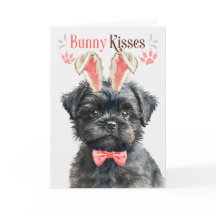 Affenpinscher Hond in Konijnenoren voor Pasen