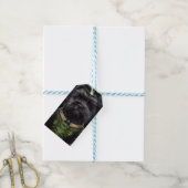 Affenpinscher-hond in St. Patrick's Day Dress Cadeaulabel (Met Touw)