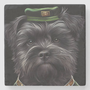 Affenpinscher-hond in St. Patrick's Day Dress Stenen Onderzetter