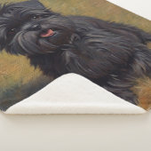 Affenpinscher Hond Olie Schilderij Portret Sherpa Deken (3/4)