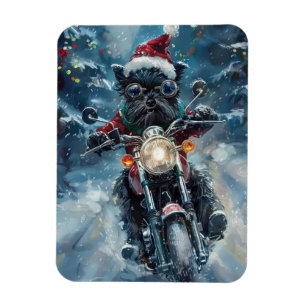 Affenpinscher Hond Rijden Motorfiets Kerstmis Magneet