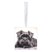 Affenpinscher Hond Twee Foto Kerstvakantie Decoratie (Rechts)