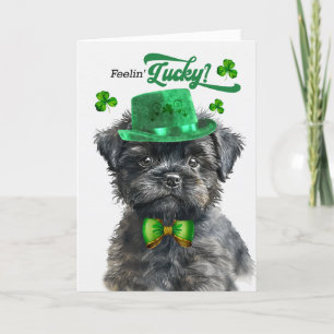 Affenpinscher Hondengevoel 'Geluksdag St Patrick's Feestdagen Kaart