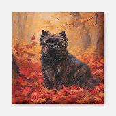 Affenpinscher in herfstbladeren Herfst geïnspireer Magneet (Voorkant)