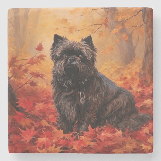 Affenpinscher in herfstbladeren Herfst geïnspireer Stenen Onderzetter (Voorkant)