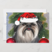 Affenpinscher in kerstmis Pet met platte vakantiek Feestdagenkaart (Voorkant)
