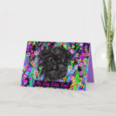 AFFENPINSCHER KAART (Voorkant)