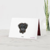 AFFENPINSCHER  KAART (Achterkant)
