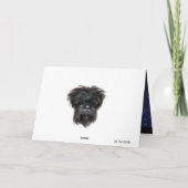 AFFENPINSCHER  KAART (Achterkant)