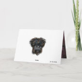 AFFENPINSCHER KAART (Achterkant)