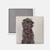Affenpinscher Magnet (Voorkant / Achterkant)