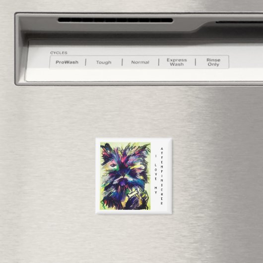 Affenpinscher Magnet (Insitu (Vaatwasser))