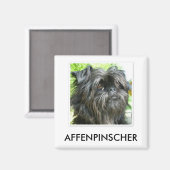 Affenpinscher Magnet (Voorkant / Achterkant)