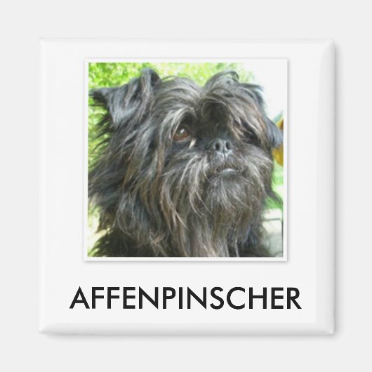 Affenpinscher Magnet (Voorkant)