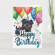 Affenpinscher met ballonnen Verjaardag