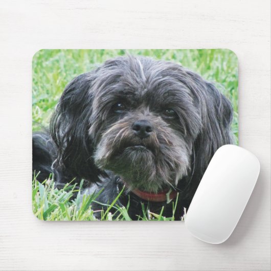 Affenpinscher Muismat (Met muis)