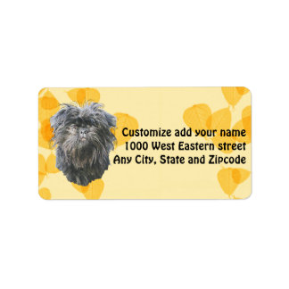 Affenpinscher op gouden bladeren etiket