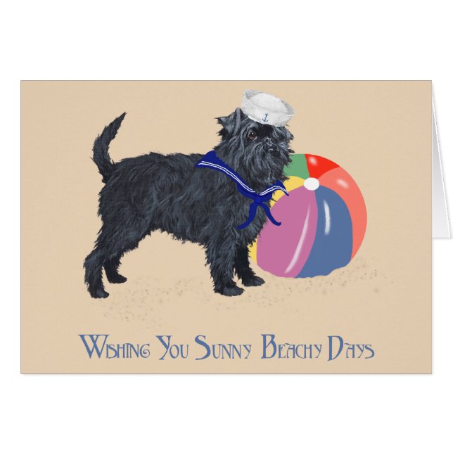 Affenpinscher op het strand (Voorkant Horizontaal)