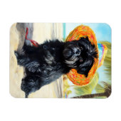 Affenpinscher op strand, zomercadeau voor hondenli magneet (Horizontaal)