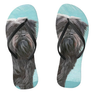 Affenpinscher Painting - Cute Original Dog Art Teenslippers