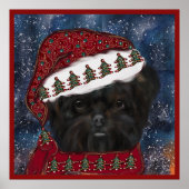 Affenpinscher Poster (Voorkant)