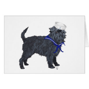 Affenpinscher Sailor