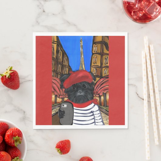 AFFENPINSCHER SERVET (Insitu)