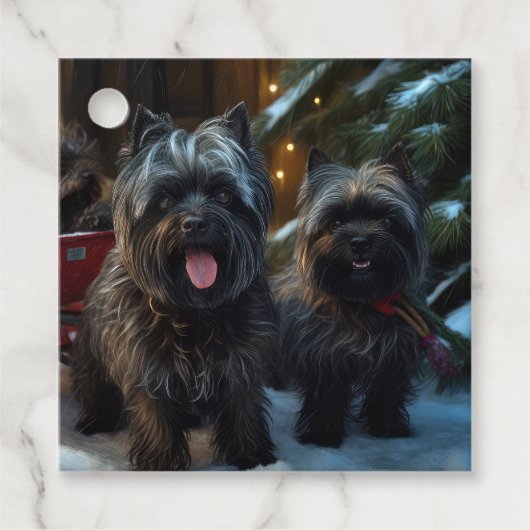 Affenpinscher Snowy Sleigh Ride Kerstdecoratie Bedankjes Labels (Voorkant)