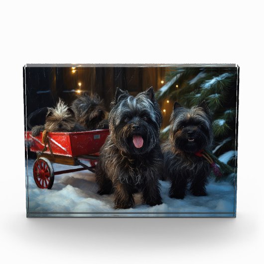 Affenpinscher Snowy Sleigh Ride Kerstdecoratie Fotoblokken (Voorkant)