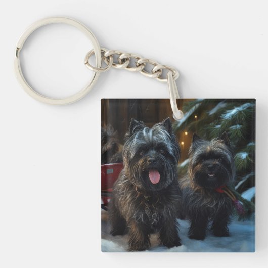 Affenpinscher Snowy Sleigh Ride Kerstdecoratie Sleutelhanger (Voorkant)