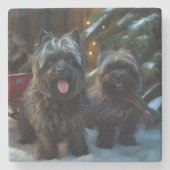 Affenpinscher Snowy Sleigh Ride Kerstdecoratie Stenen Onderzetter (Voorkant)