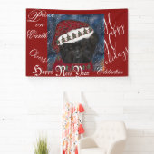 Affenpinscher Spandoek (Insitu)