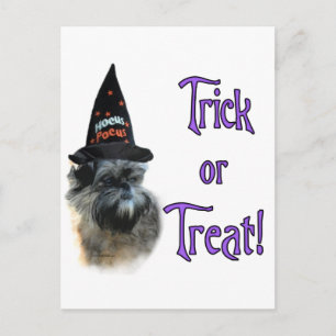 Affenpinscher Trick Briefkaart