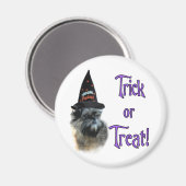 Affenpinscher Trick Magneet (Voorkant / Achterkant)