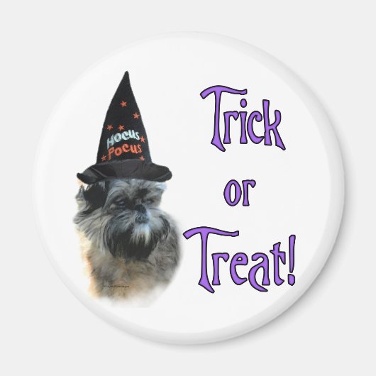 Affenpinscher Trick Magneet (Voorkant)