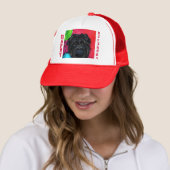 Affenpinscher Trucker Pet (In situ)